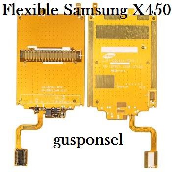 Flexible Samsung X450+SCK