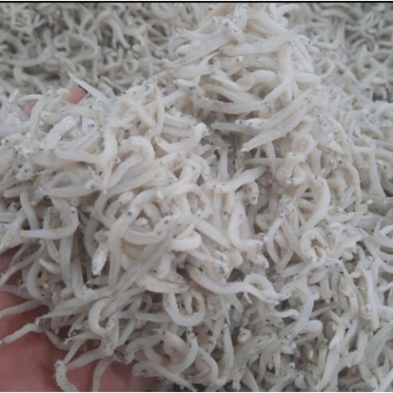 

IKAN ASIN TERI MEDAN SUPER/TN PUTIH