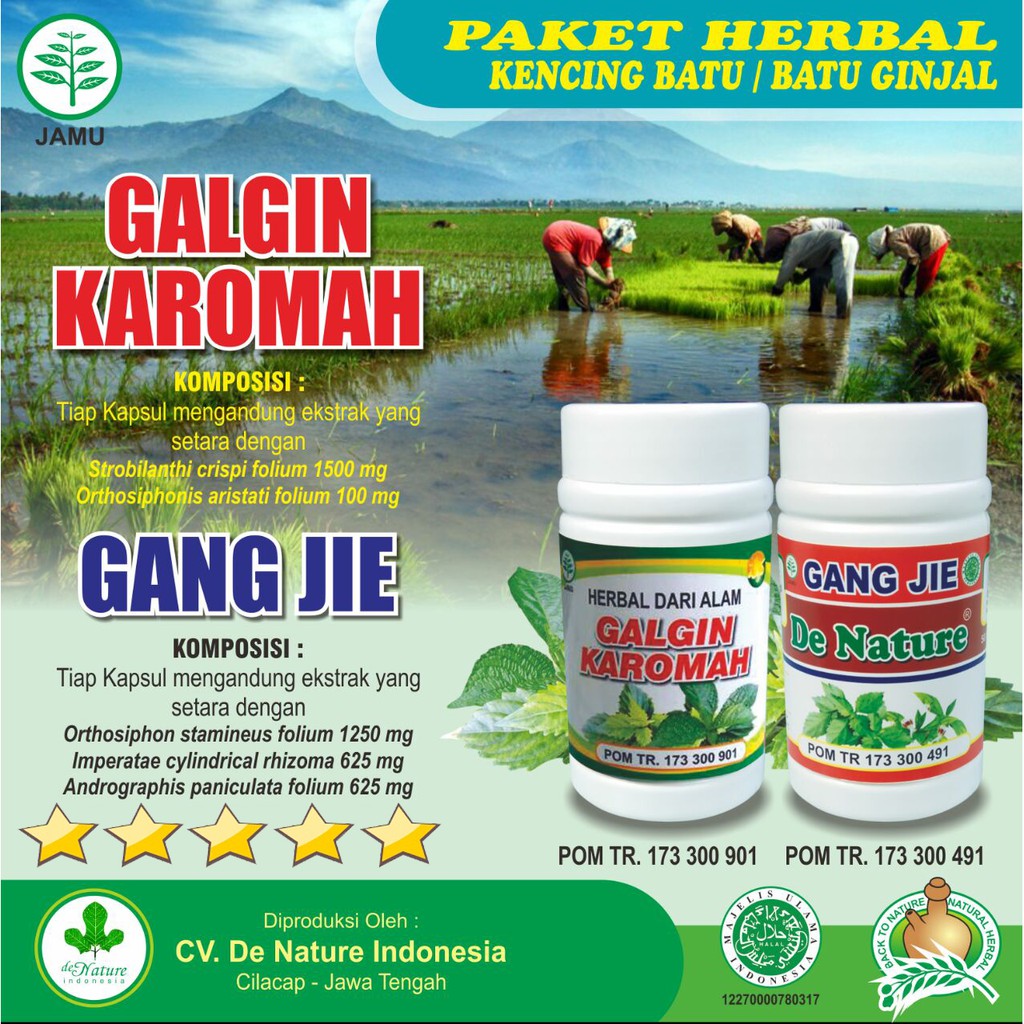Obat Batu Ginjal asli De Nature