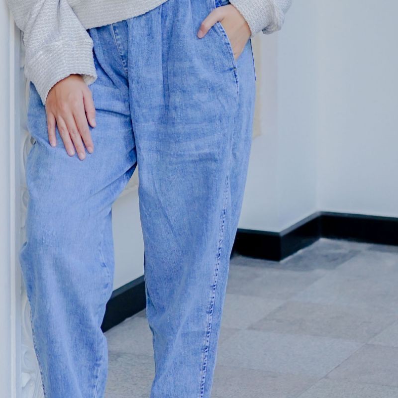 ZANO BASICS BOYFRIEND Meera Kr