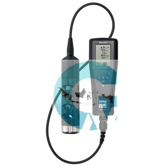 YSI Pro20 Dissolved Oxygen/Temperature Portable dissolved oxygen meter for the lab or field