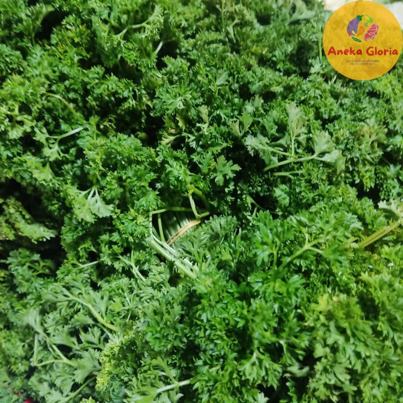 

Daun Peterseli Parsley