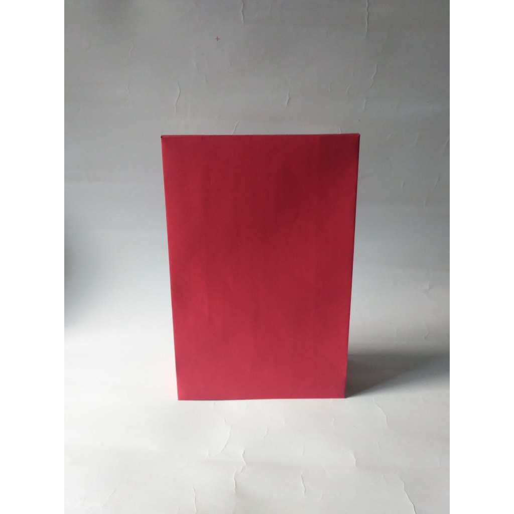 

PAPER BAG AMPLOP WARNA POLOS MURAH SIZE BESAR PXLXT 20X9X31