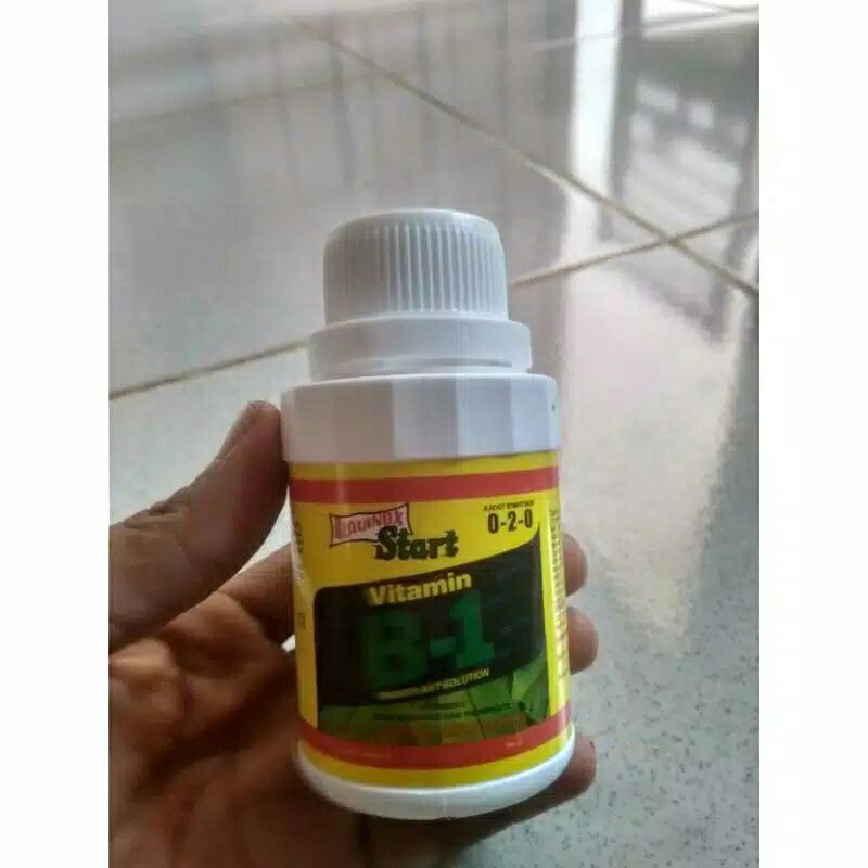 vitamin perangsang tanaman atau buah-buah han