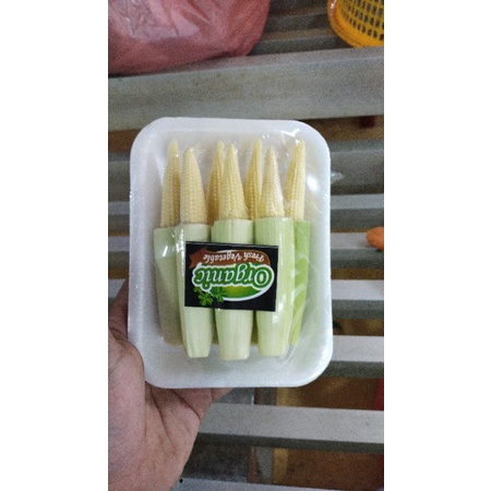 

Jagung Baby Organic