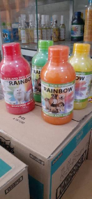 Rainbow Shampoo Kutu Anjing Wangi