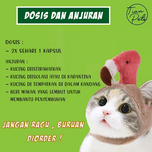 OBAT MENCRET DIARE PANLEUKOPENIA KUCING RACIKAN DOKTER HEWAN AMPUH MANJUR