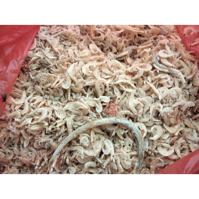 

Udang rebon 250 gram