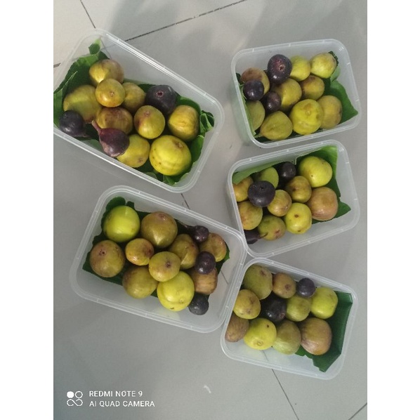 buah tin segar 300 gram