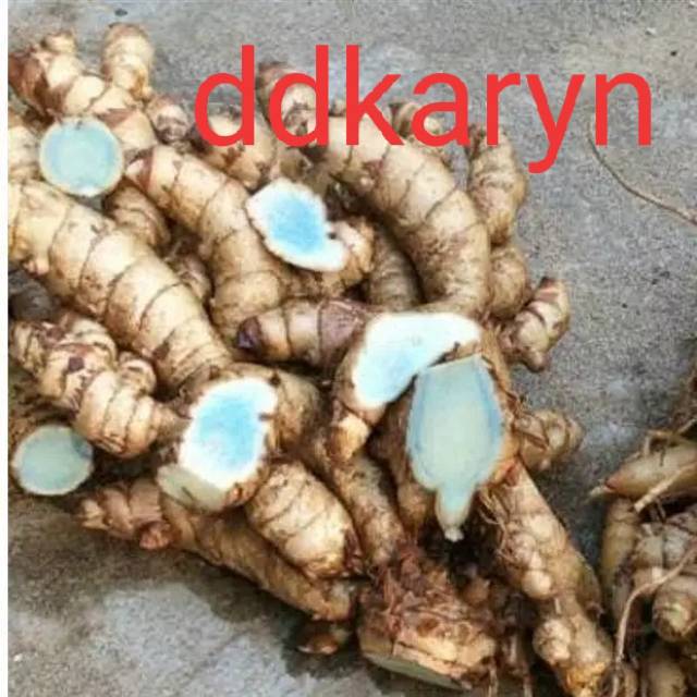 

Temu ireng/item buah/segar fresh asli