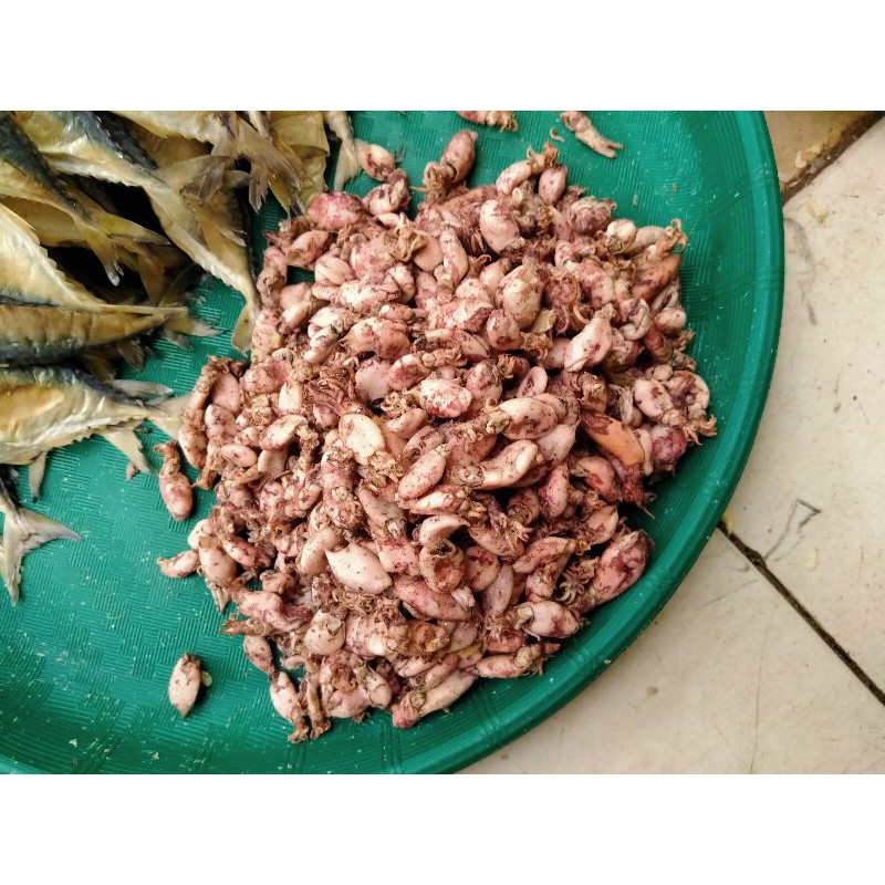 

sotong asin 300gram