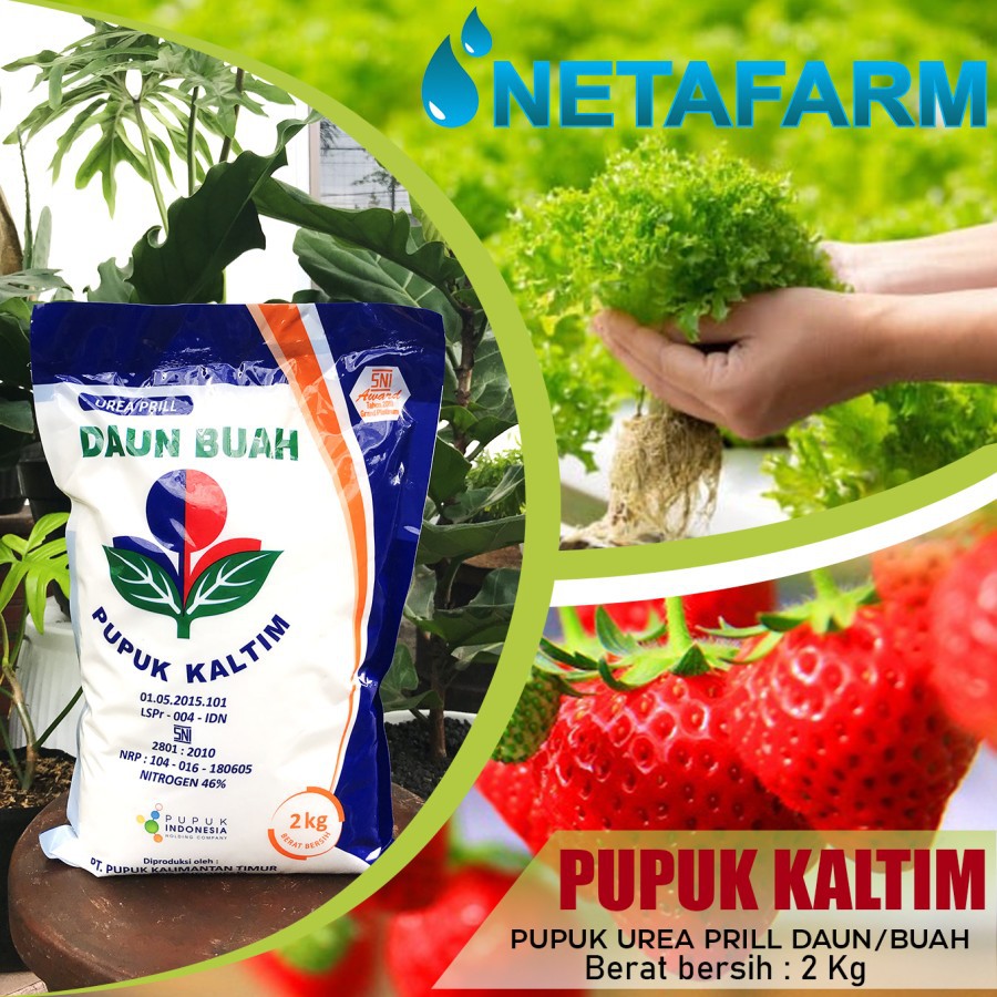 Pupuk Kaltim Urea Prill Daun Buah Nitrogen 46% kemasan 2 kg