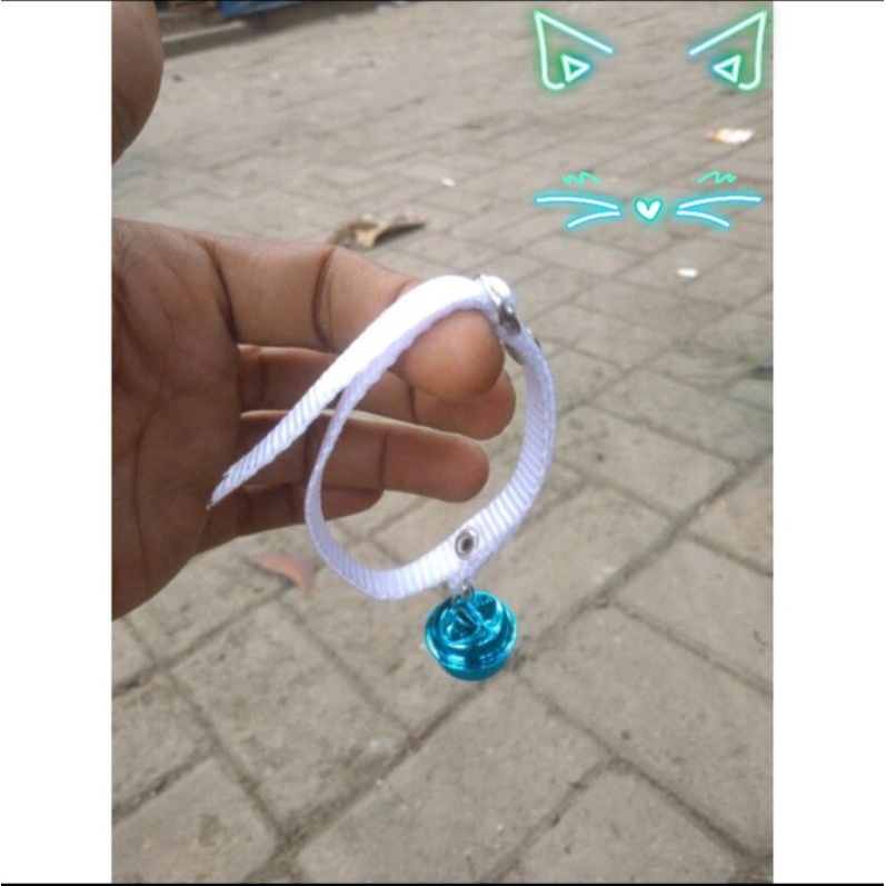 Kalung kucing lonceng