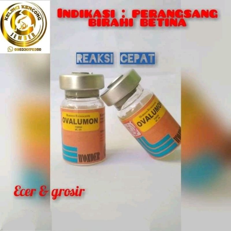 ovalumon 5 ml perangsang birahi hewan betina