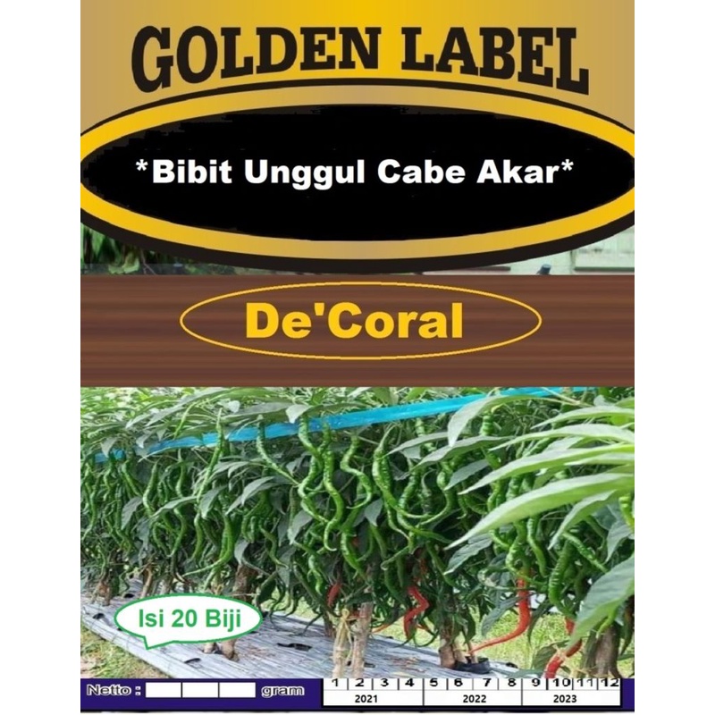 Bibit Unggul Cabe Akar |Benih Cabai Akar | Bibit Cabe Keriting Akar