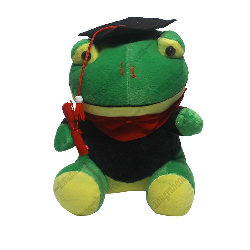 Boneka Maskot Wisuda