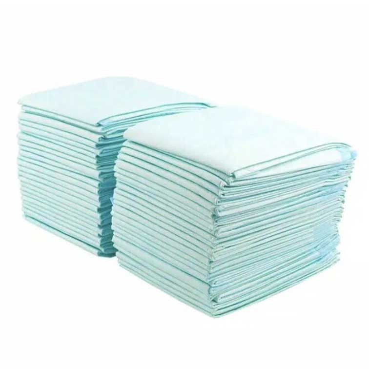 Underpad DR J PERLAK DR.J  Disposable Pad / Pet Pad/ Alas Popok (1 Packs 10s)