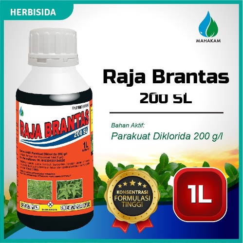 Jual Herbisida Raja BRANTAS 200 Sl 1 Liter Herbisida Pestisida Pembasmi ...