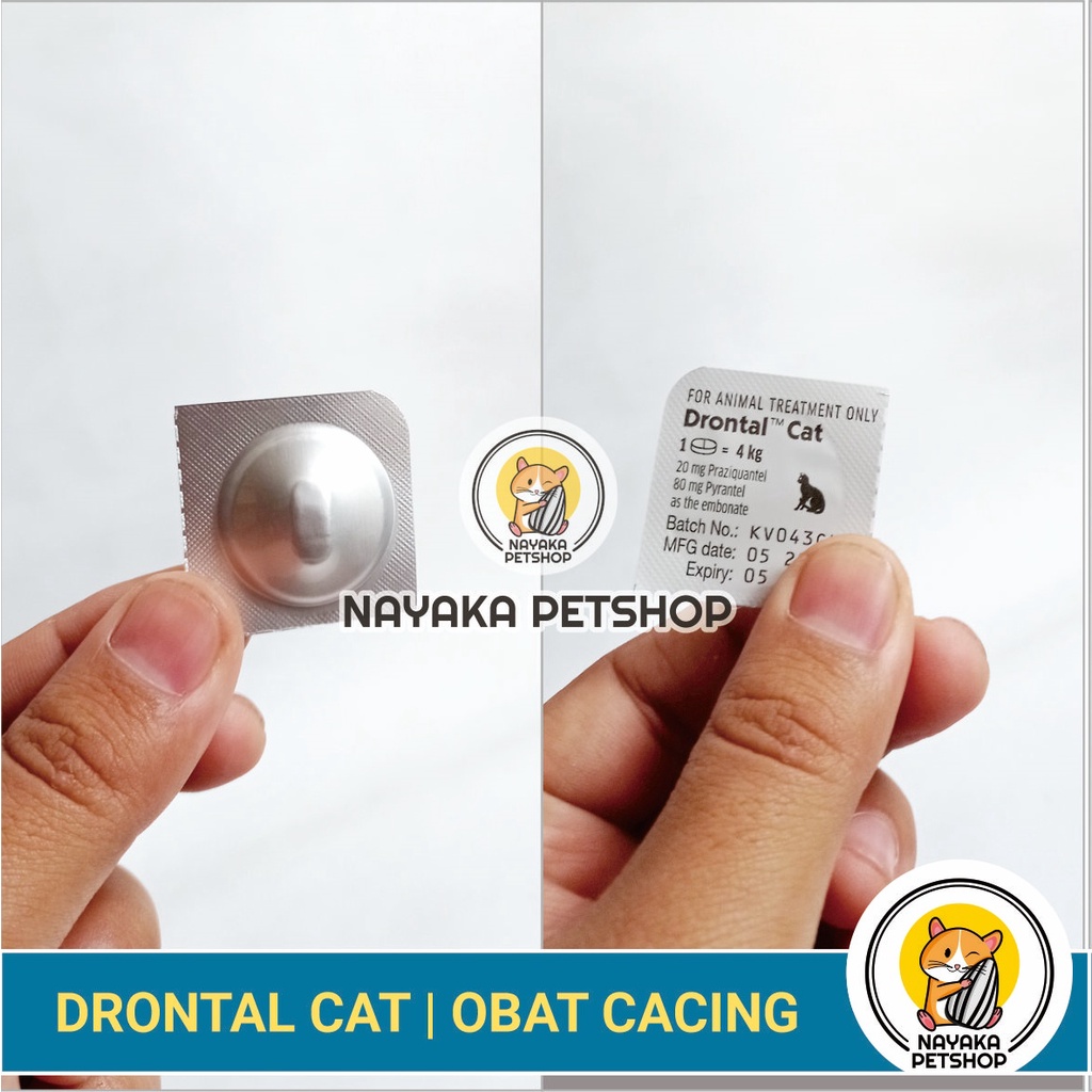 Drontal Cat 1 Tablet Obat Cacing Kucing Dewasa Kitten