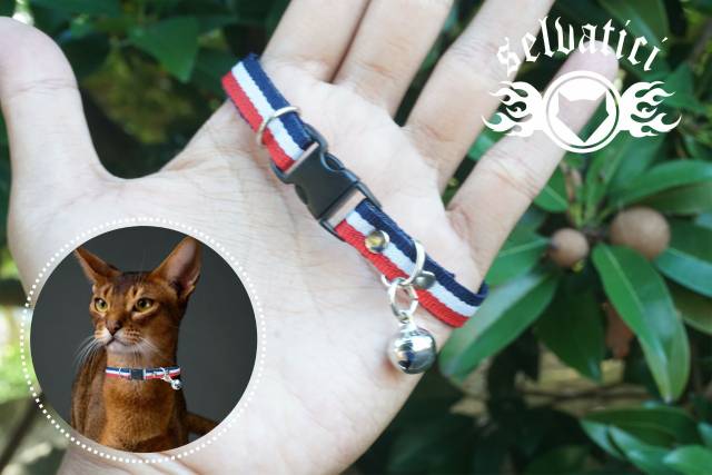 Kalung kucing kalung musang kalung untuk otter bahan nylon free lonceng murah ( selvatici )