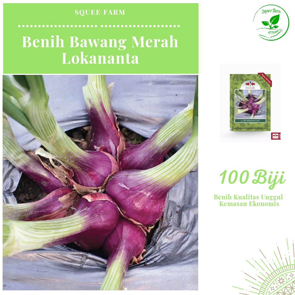 100 Biji - Benih Bawang Merah LOKANANTA