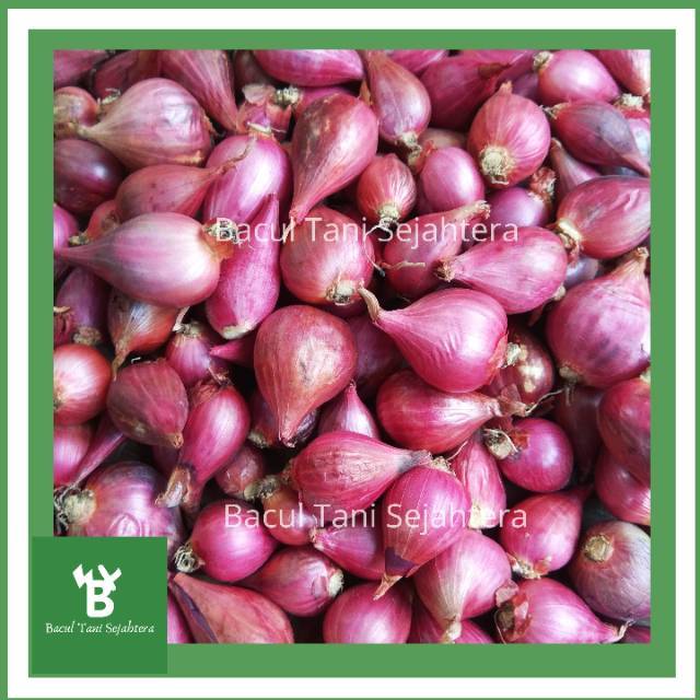 Bawang Merah Brebes Segar Dari Petani 1 Kg