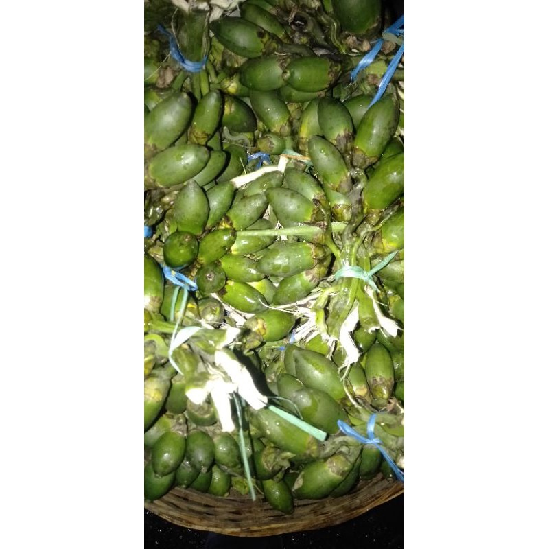 

Jambe Pinang buah syarat