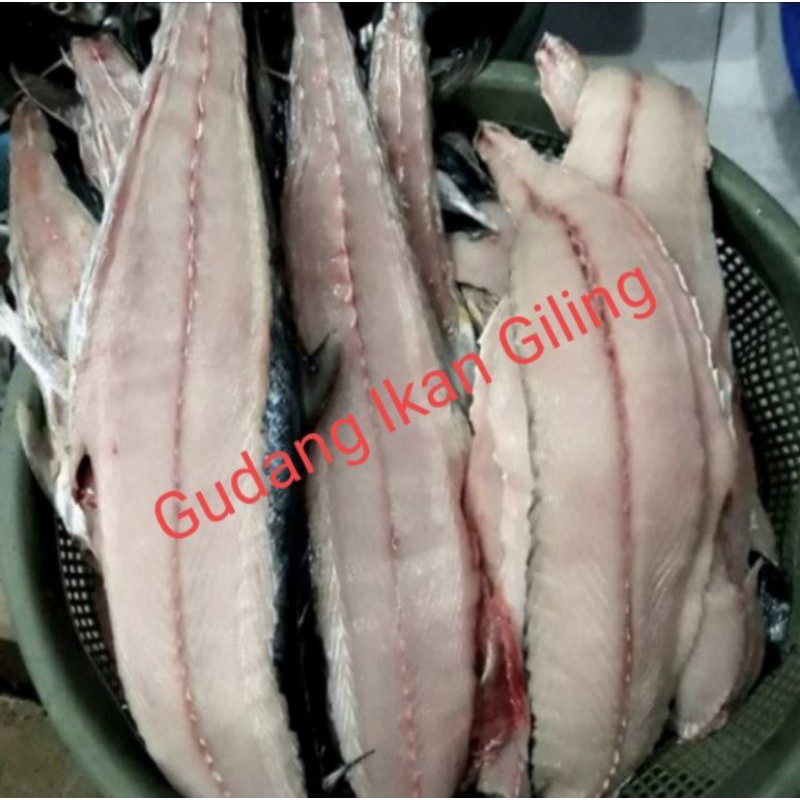 

Ay00! Ikan Giling Tenggiri Super 1Kg Putih Kenyal