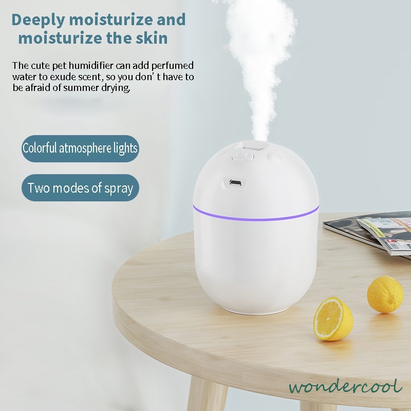 Air Humidifier Mini Portabel USB Aroma Minyak Esensial Diffuser Mobil Aromaterapi Minyak Humidifier Ultrasonic Cool Mist Fogger Mist Maker 220 Ml (Putih)-Won