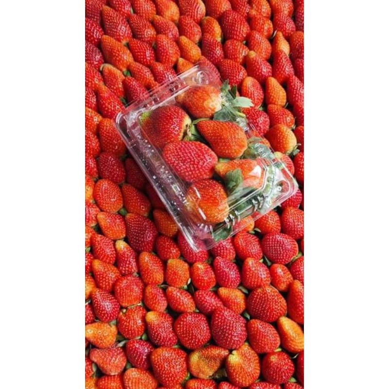 

strawbery