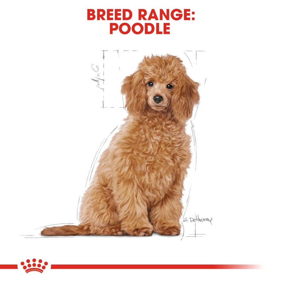 Royal Canin Poodle Junior 3 Kg / Makanan Anjing Poodle Puppy 3Kg freshpack