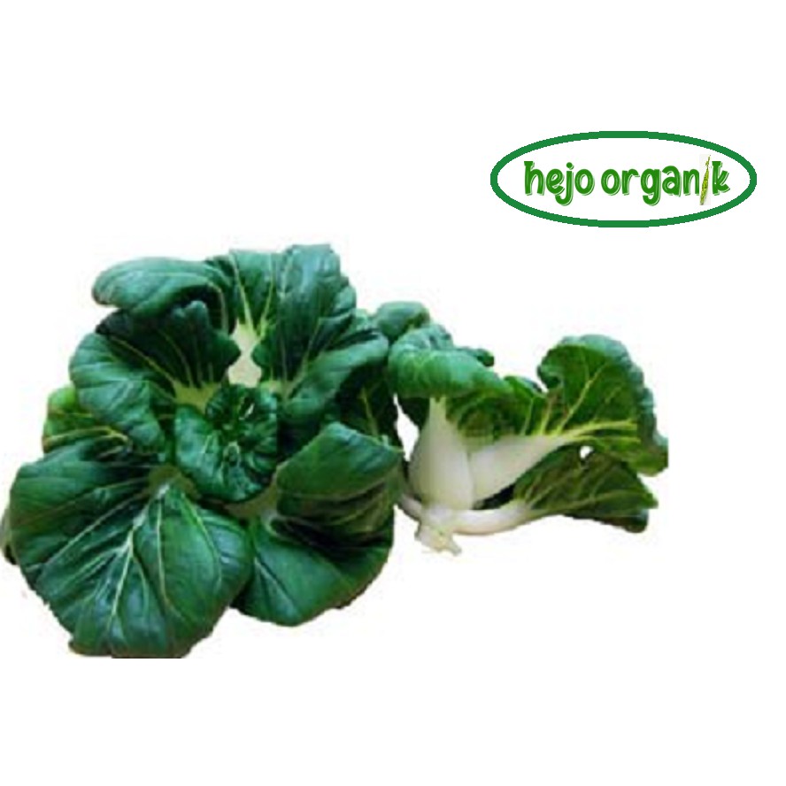 

NAIBAI NAI BAI MINI DWARF PAKCHOY SAYUR FRESH ORGANIK BANDUNG SEGAR BEBAS PESTISIDA GMO