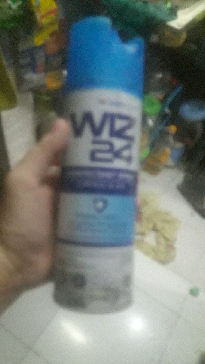 Wiz 24 Disinfectant 300ml  Aerosol / Wiz24
