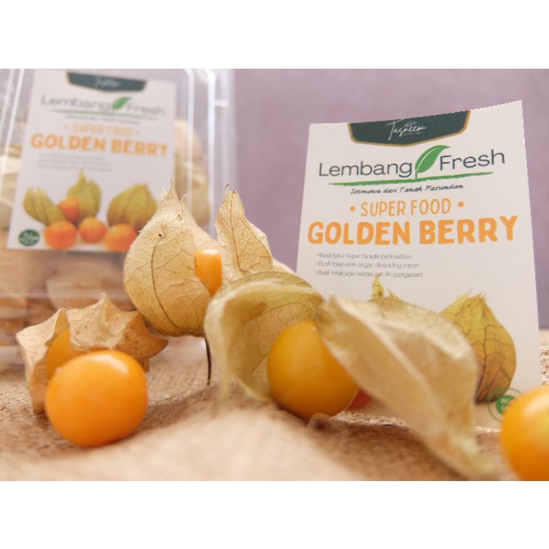 Golden Berry Buah Ciplukan Segar Super Food Vitamin C & Antioksidan Tinggi Fresh Lembang Bandung