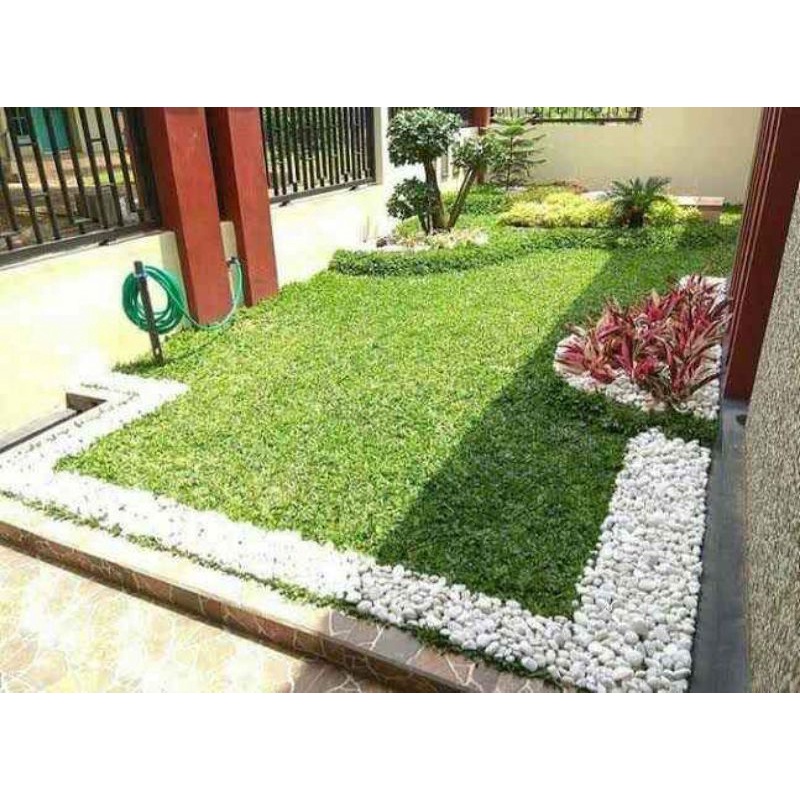 sfesialis tukang taman tukang taman murah paket rumput taman