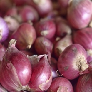 

Bawang Merah Asli Daerah Brebes