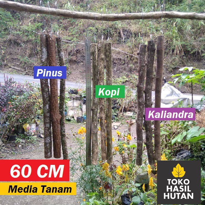 Media Tanam Anggrek 60 cm Kayu Kopi, Kayu Pinus, Kayu Kaliandra | Toko Hasil Hutan