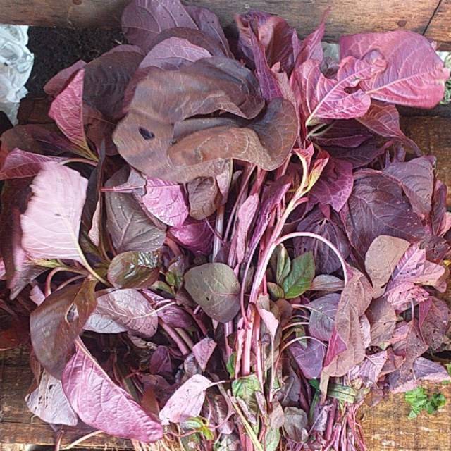 

Sayur Bayam Merah 1 ikat