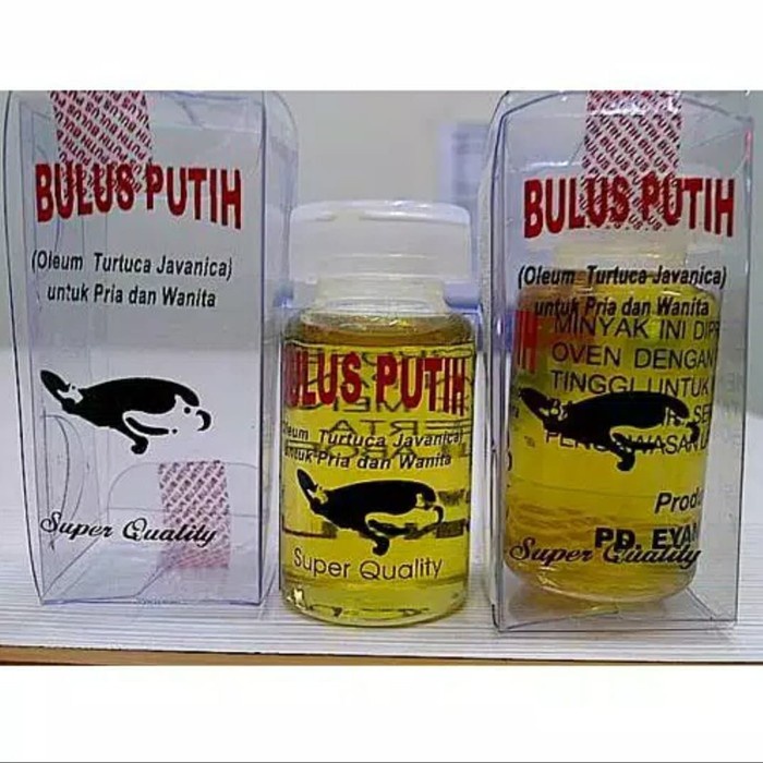 (COD) Minyak Bulus Putih Asli Original - Massage Oil Pembesar Payudara