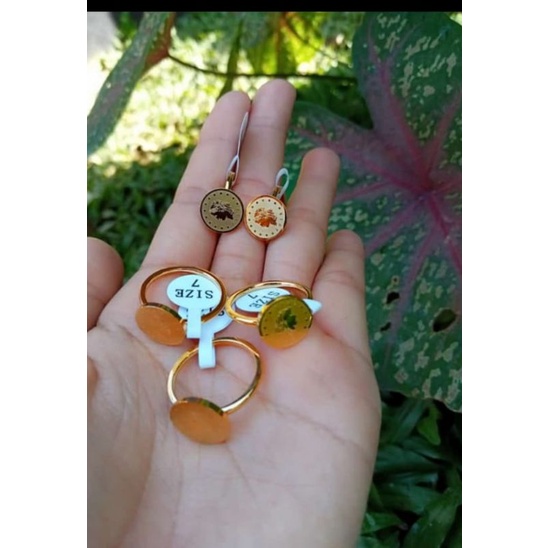 cincin koin titanium