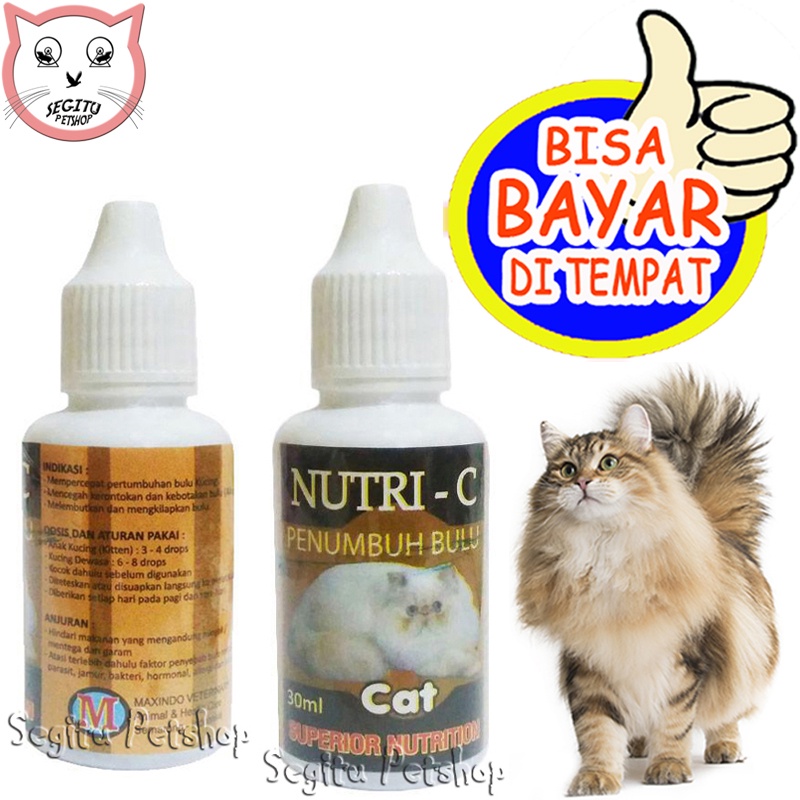 Jual Vitamin Penumbuh Bulu Kucing Rontok Botak Pitak Nutri C Shopee