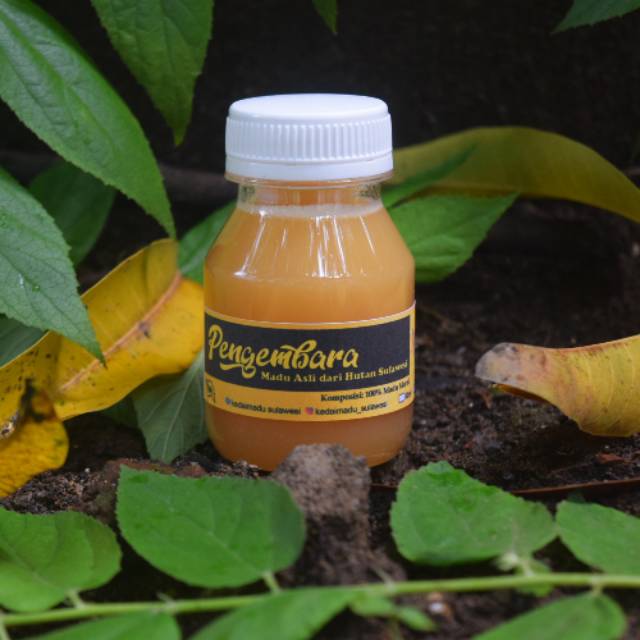 

Madu Hutan Asli Sulawesi