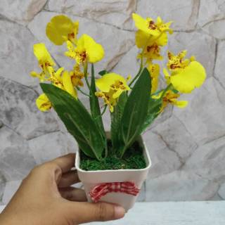dapat 3 Bunga Plastik ANGGREK BULAN Mini Artificial dapat 3 Bunga Plastik ANGGREK BULAN Mini Artificial
