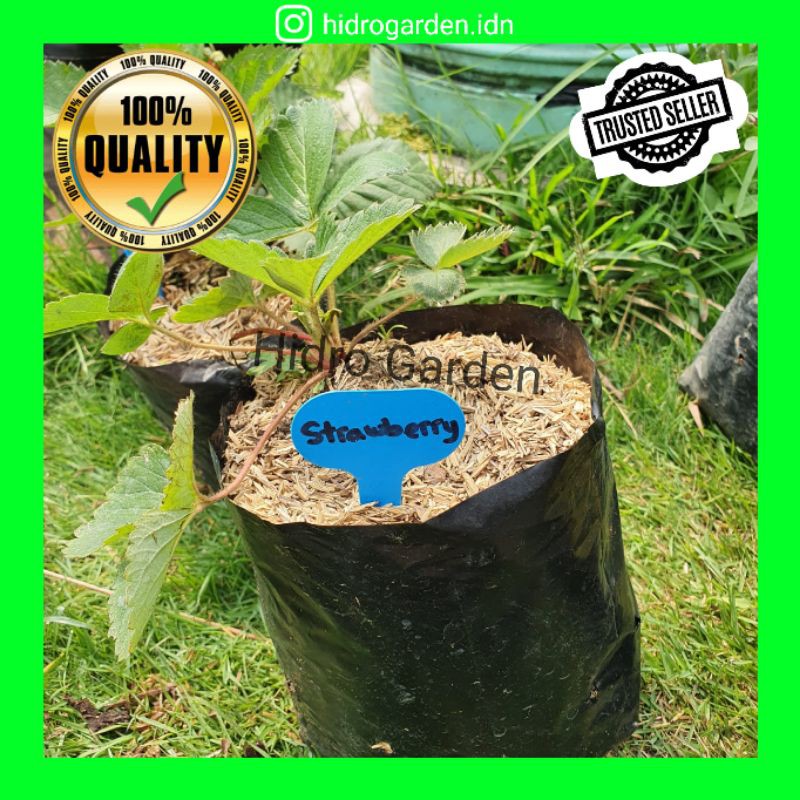 

Label / Tag / Penanda Tanaman Anti Air / Plant Label Tag Waterproof