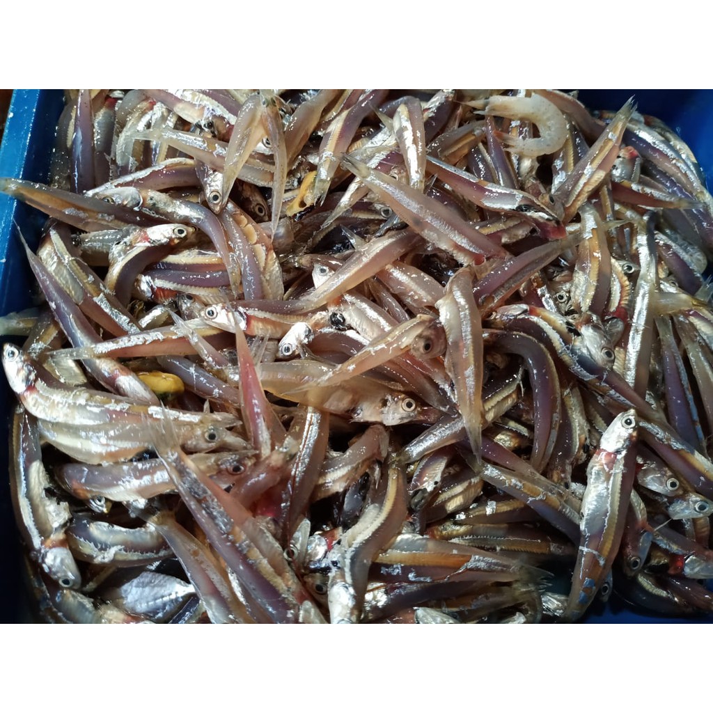 

Teri Basah / 500gr