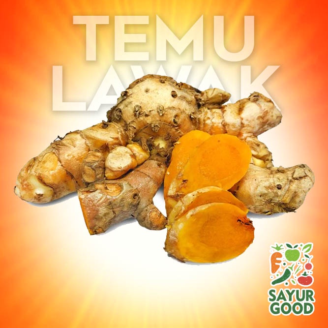 

Temu Lawak Segar / 250gr