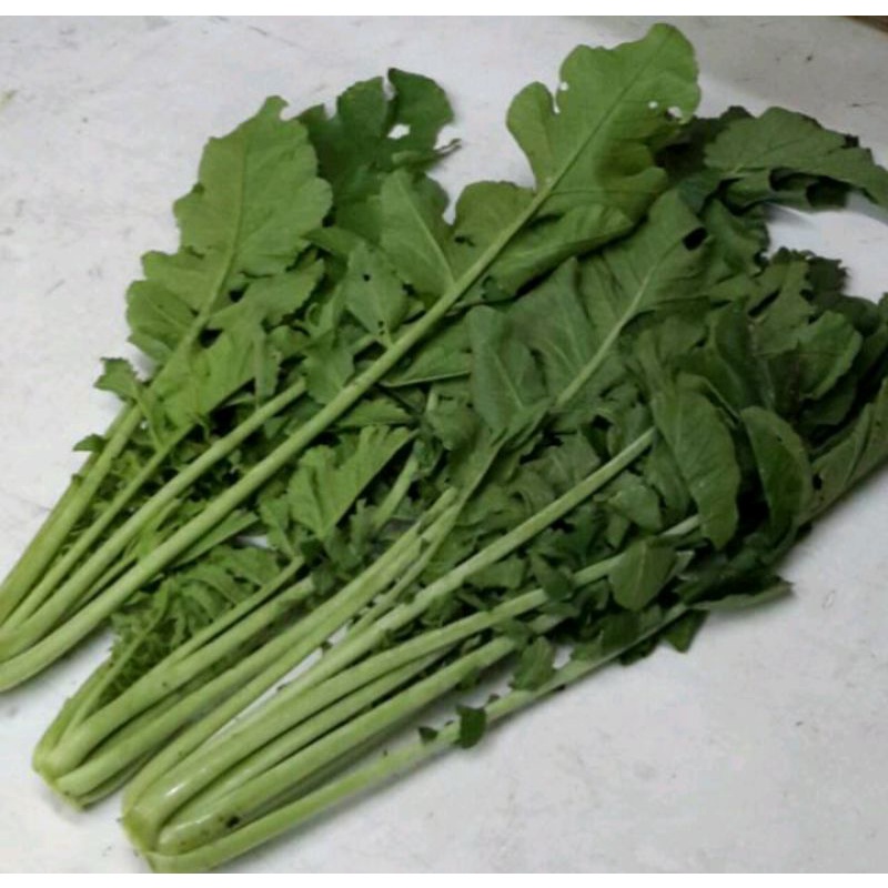 

Daun Lobak Organik 250g