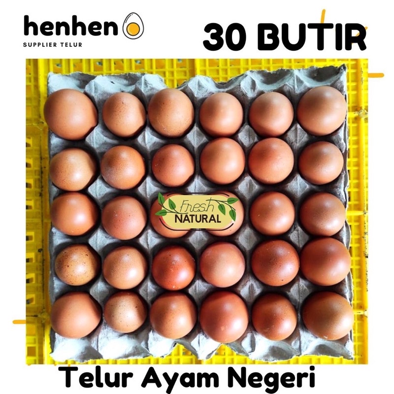 

TELUR AYAM NEGERI ISI 30 BUTIR