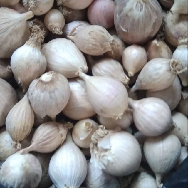 

Bawang Lanang Lokal 100g, Bawang Temanggung