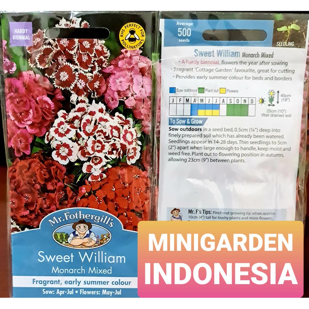 Benih Bunga SWEET WILLIAM MONARCH MIXED PACK 500 BIJI bibit bunga import f1 Mr Fothergills